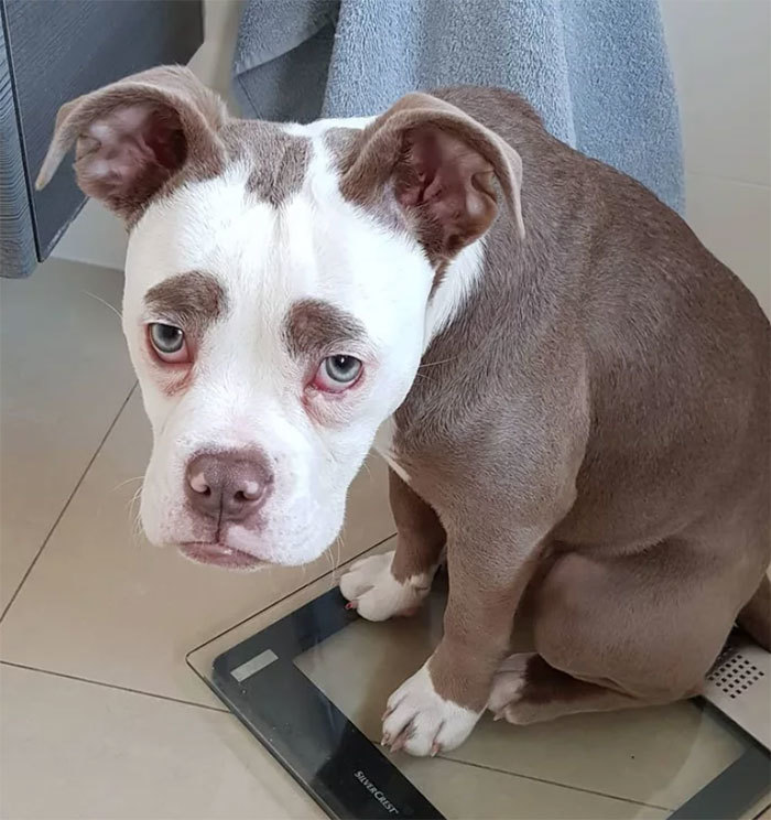 A mi arcunk lehet ilyen, amikor a mérlegre állunk...