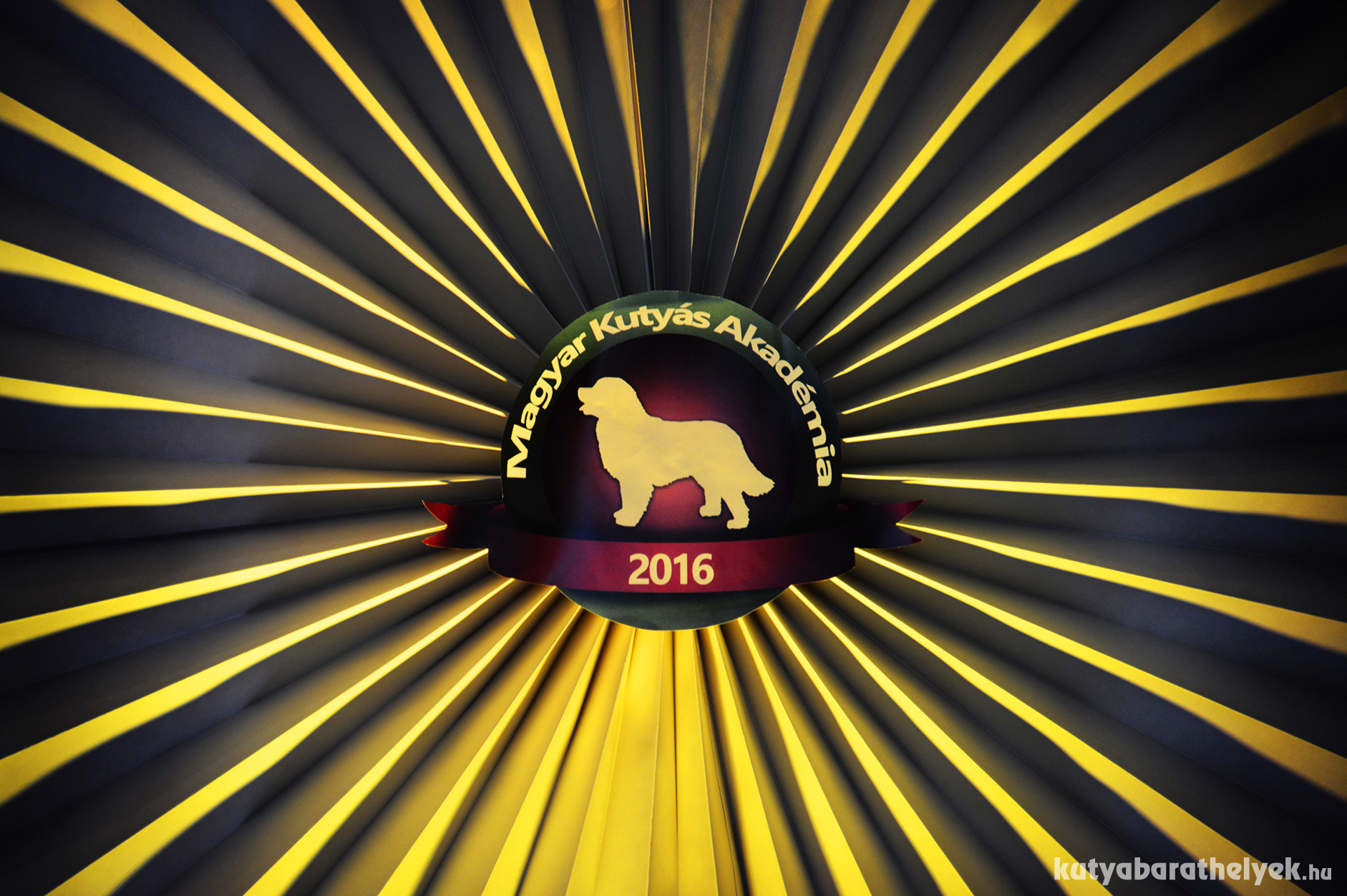 Magyar Kutyás Akadémia Magyar Kutyás Akadémia