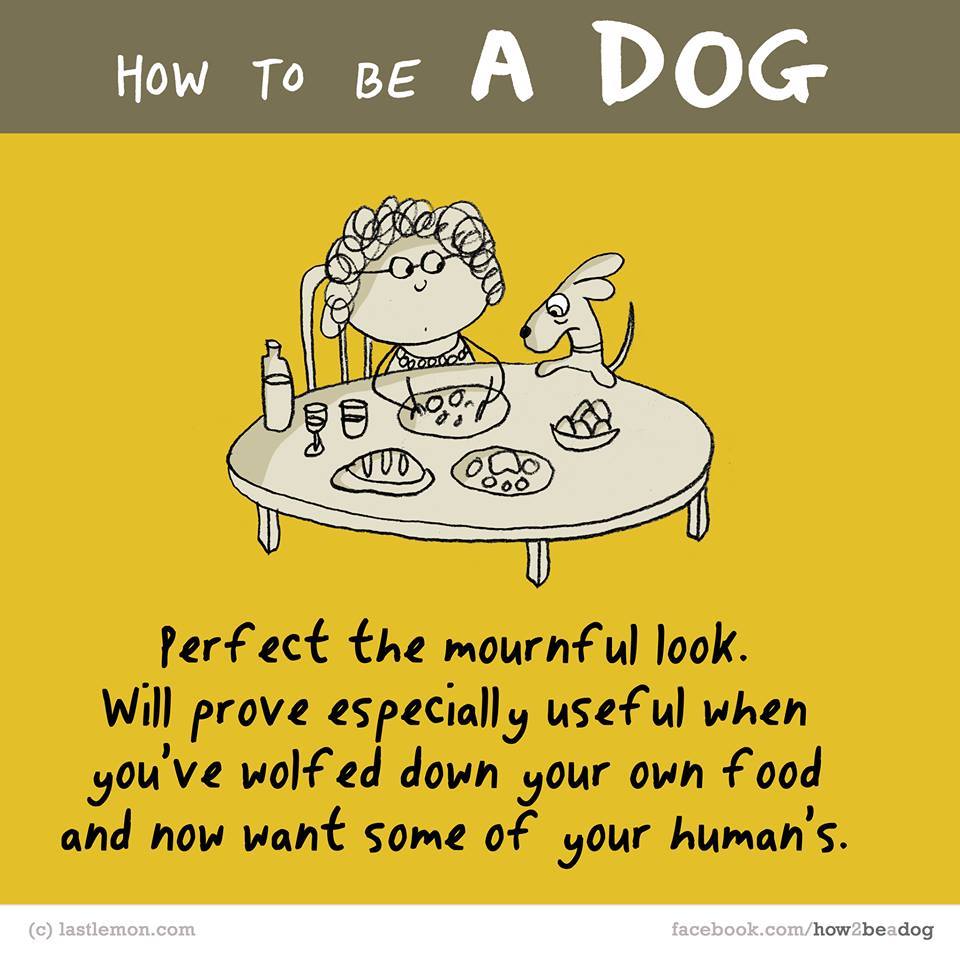 Tökéletesítsd a bánatos nézést! Tökéletesítsd a bánatos nézést!