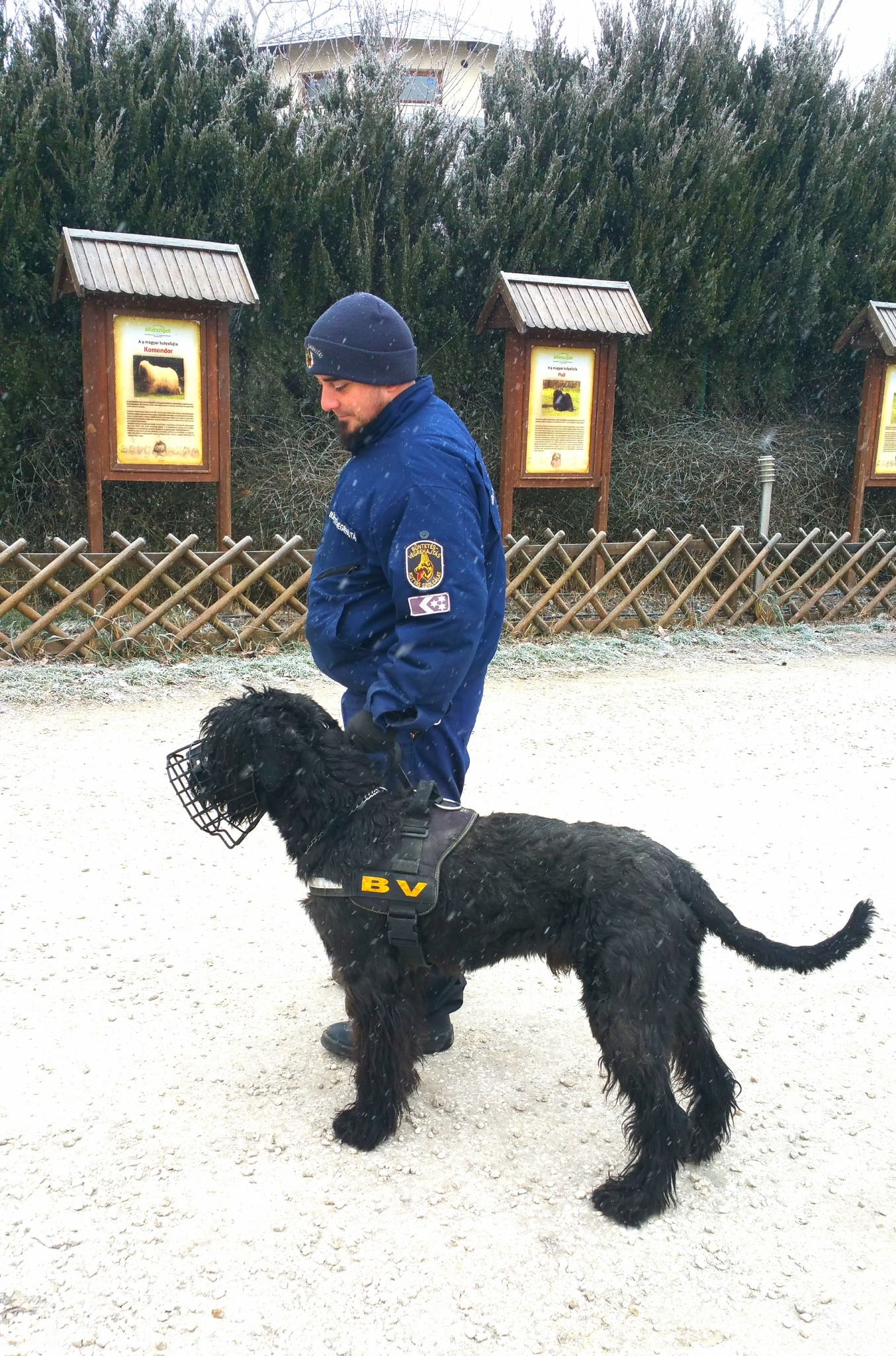 Prumek Krisztián főtörzsőrmester és Zeusz őrzik a rendet munka közben