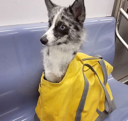 A legtöbb esetben semmilyen fennakadás nincs az utazáskor