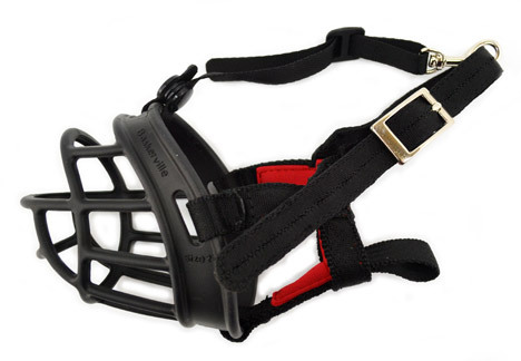 Az ideális szájkosár