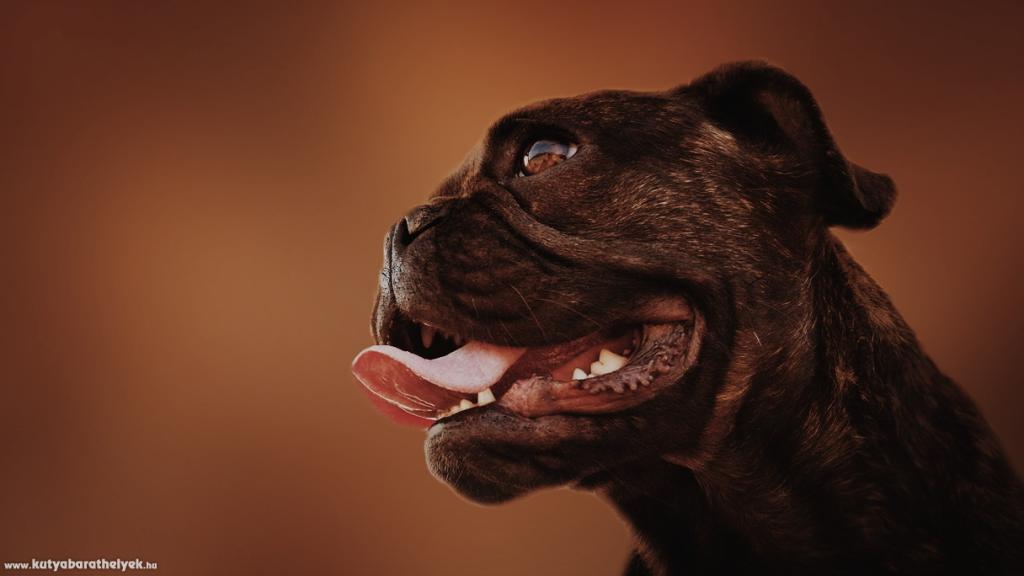 Jaskó Emma - Öröm