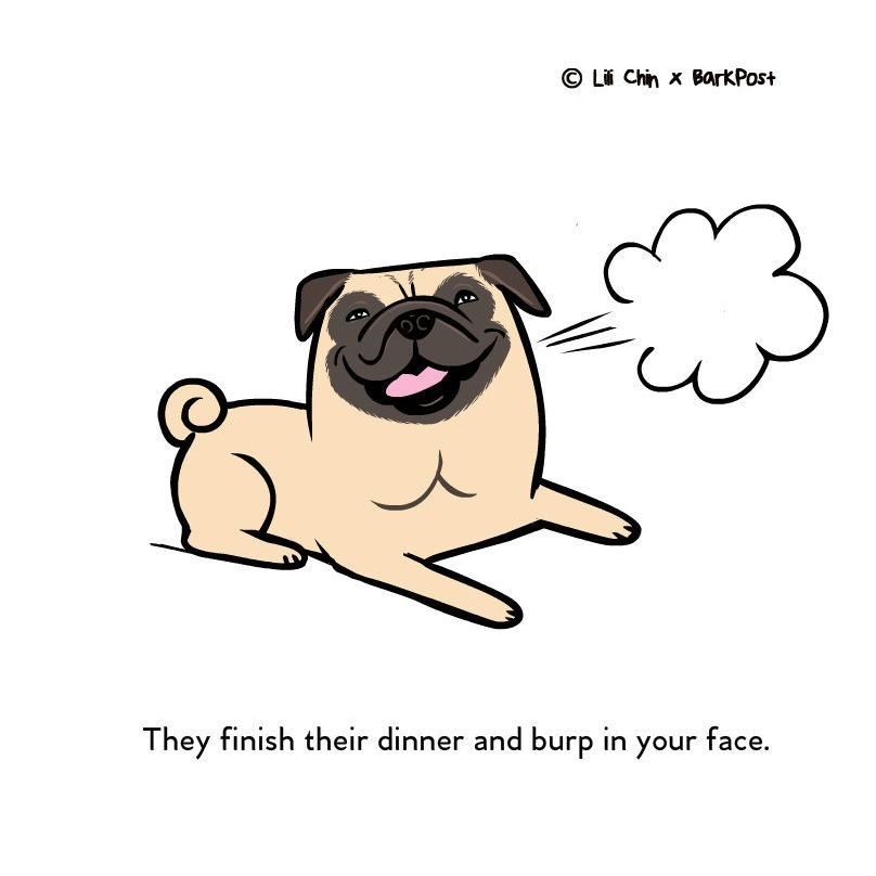 A vacsora végeztével jókorát böffent kutyád