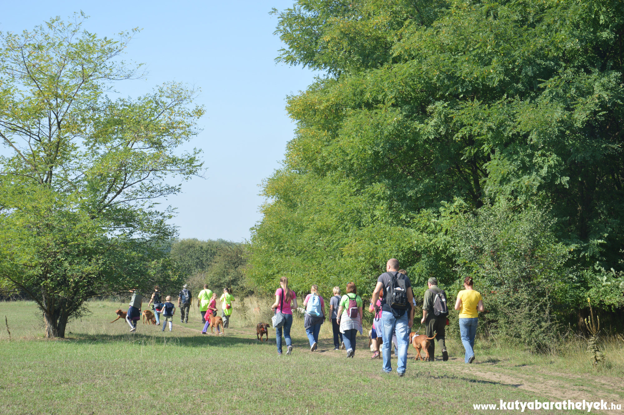 Minden túrán nagy a gazdik és a kutyák létszáma is