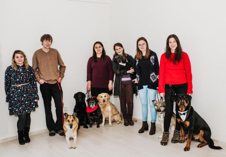 A klinikán a kutyák is állandó munkatársak lesznek
