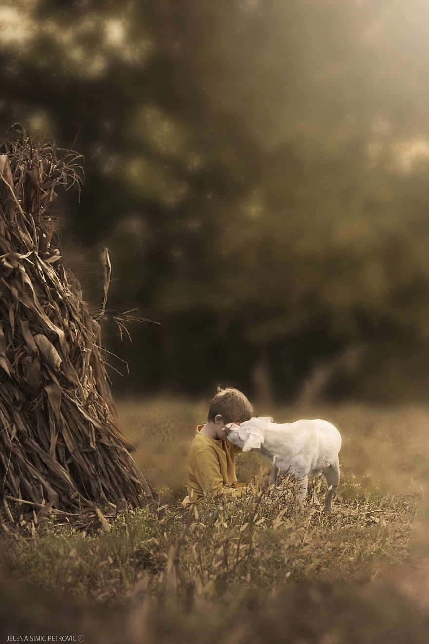 Egy kisfiú és a kutyája 2