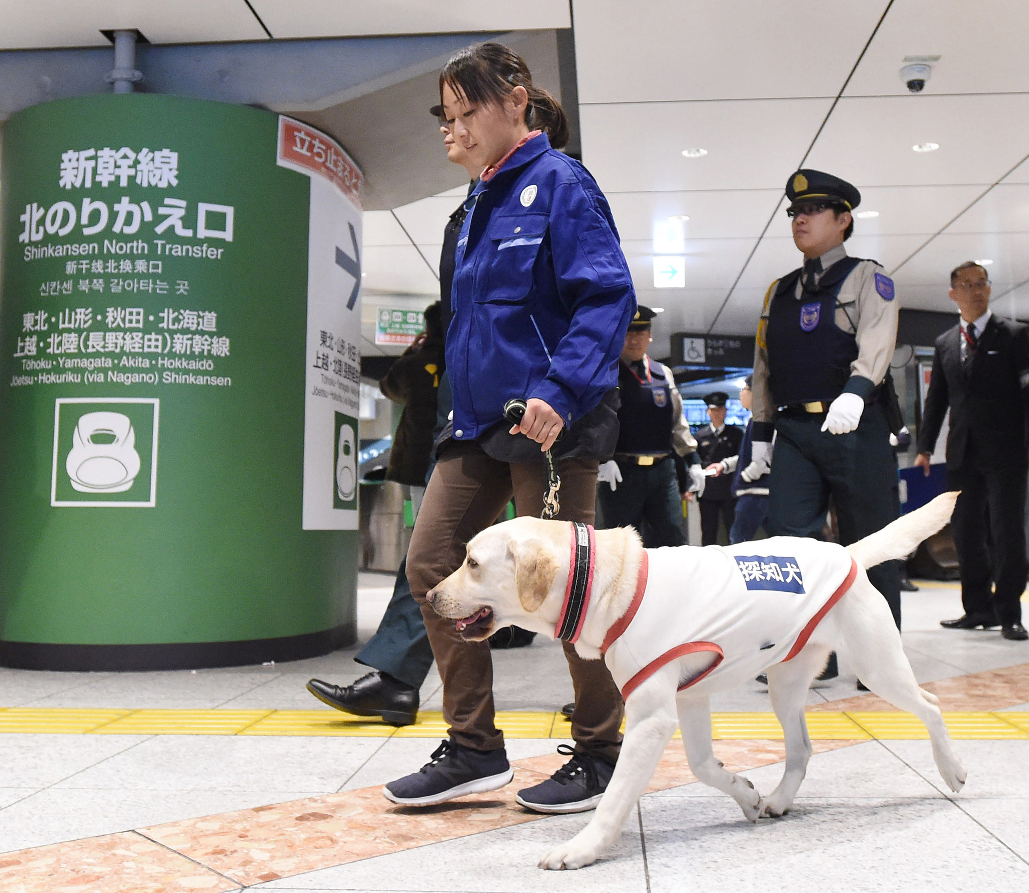 A kutyák is segítik felügyelni a biztonságot a 2020-as olimpián