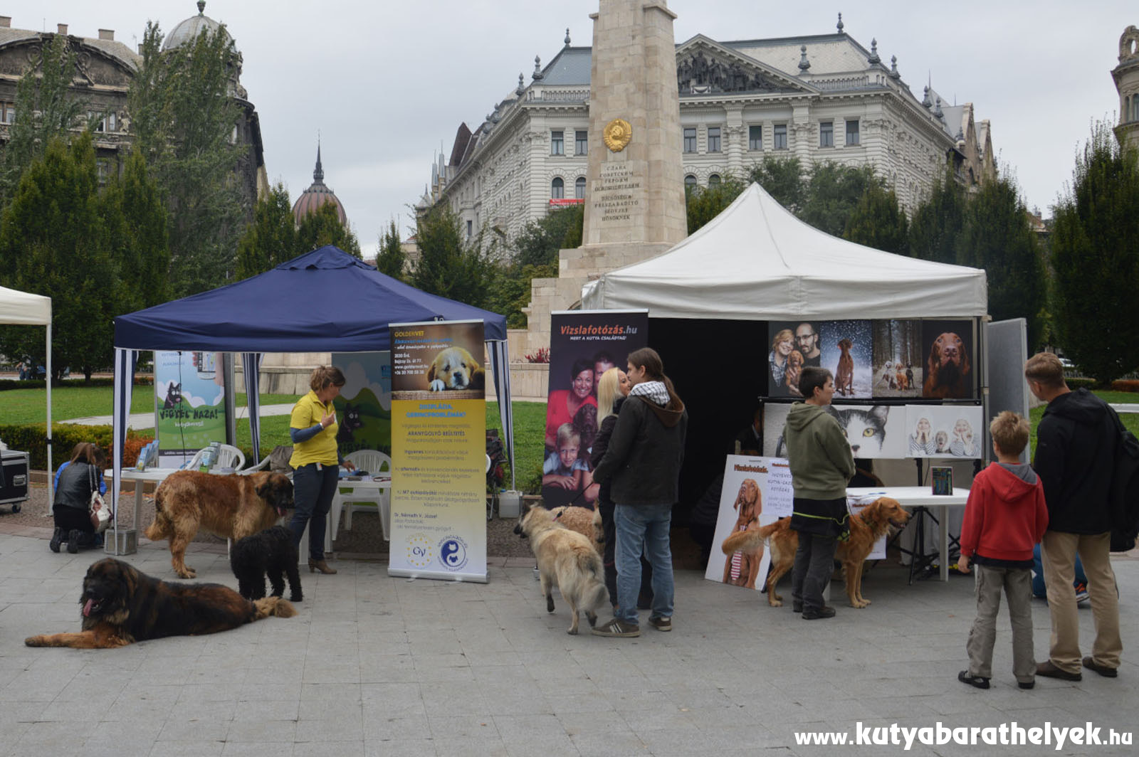 Részt vett a Vizslafotózás.hu, a Patadoki és a Vigyél Haza Alapítvány is
