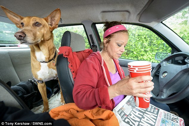 Az ebek így is boldogok