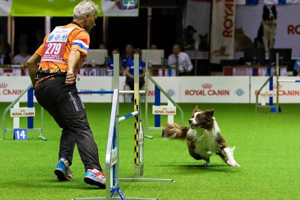 FCI Agility Világbajnokság