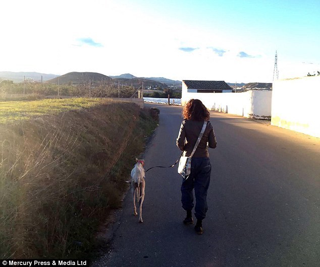 Úton a kölykökhöz