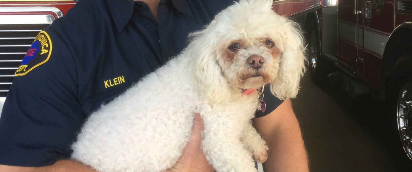 Nalu azóta teljesen rendbejött Nalu azóta teljesen rendbejött