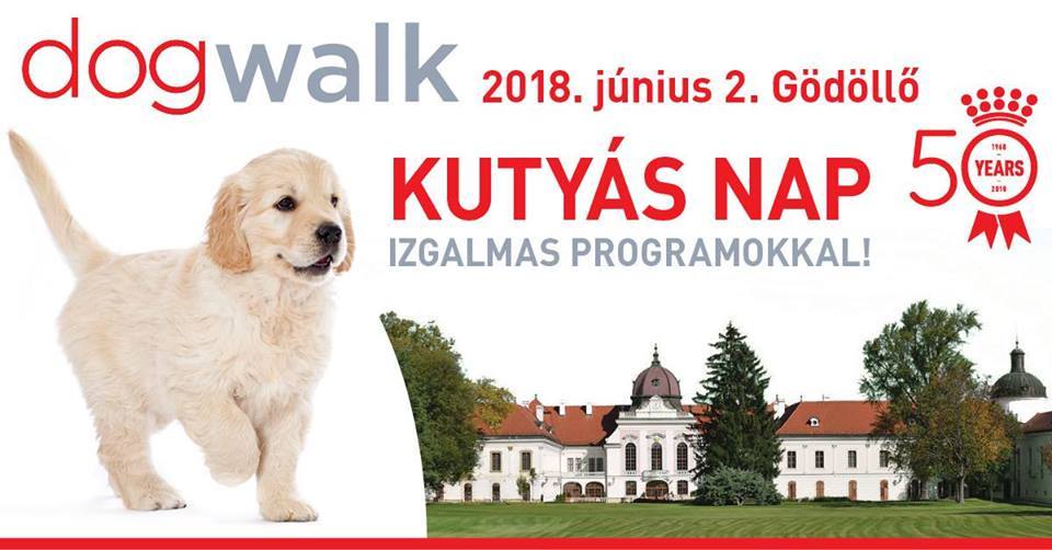 Dogwalk - közös kutyaséta izgalmas programokkal Dogwalk - közös kutyaséta izgalmas programokkal