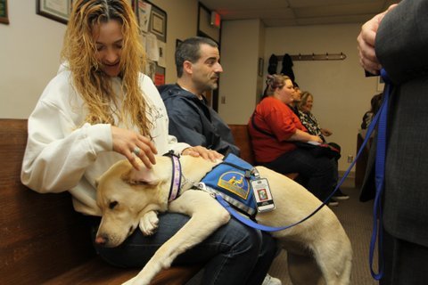 Törvényszéki eb segítségnyújtás közben