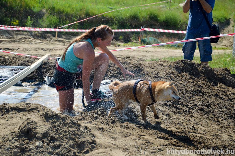 Bármilyen méretű és fajtájú kutyával lehet indulni