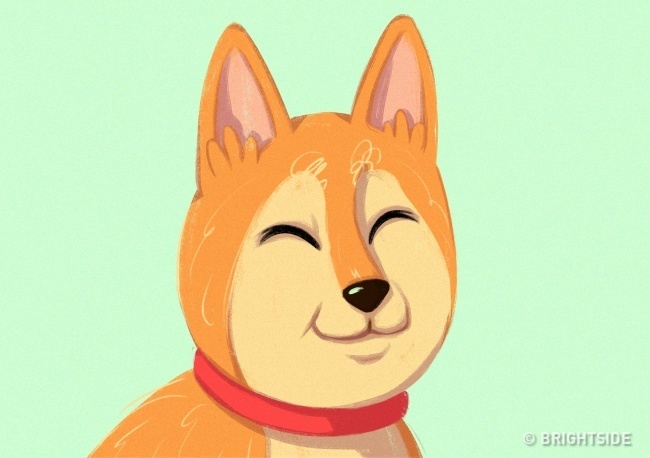 Hunyorgás, pislogás