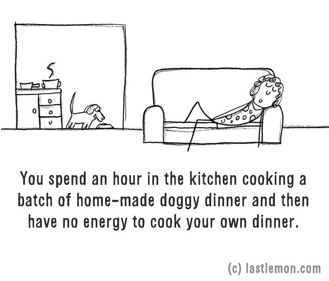 A legfinomabb házikosztot készíted kutyádnak