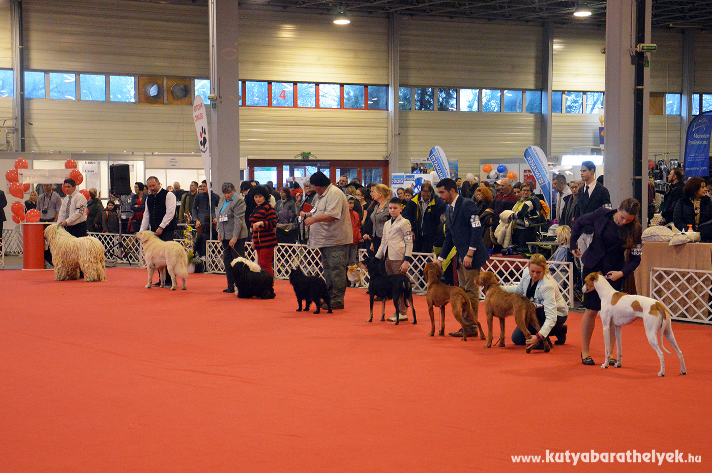 Magyar kutyafajtáink 