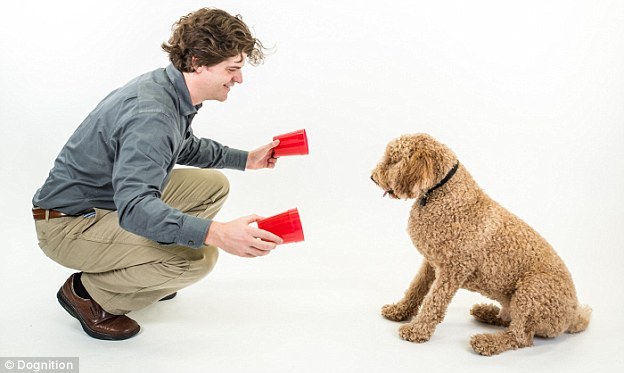 A pohár mélyére néz