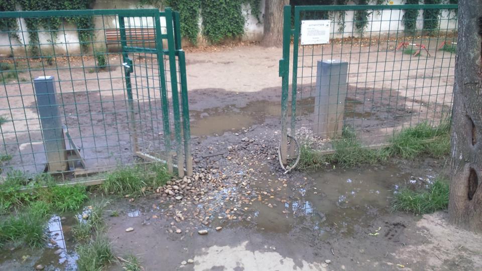 Kutyafuttató a Markusovszky téren.