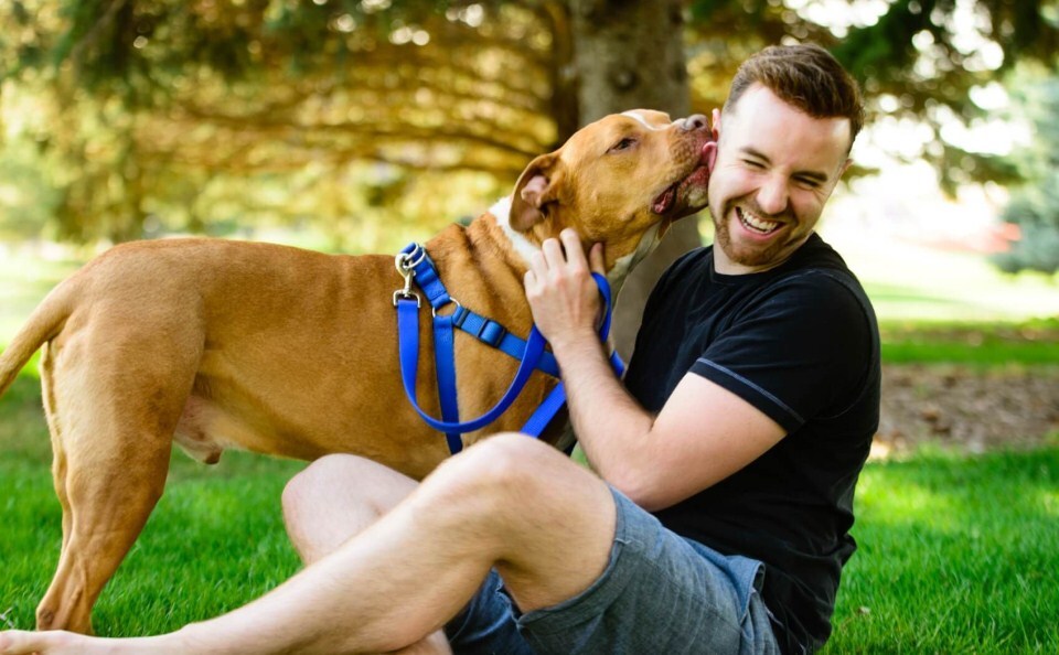 Hogyan legyél kutyád legjobb barátja - Együtt lenni egyszerűen jó
