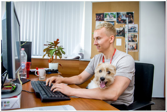 A gazdinak és a kutyának is jó, ha együtt tölthetik a napot, még a munkahelyen is