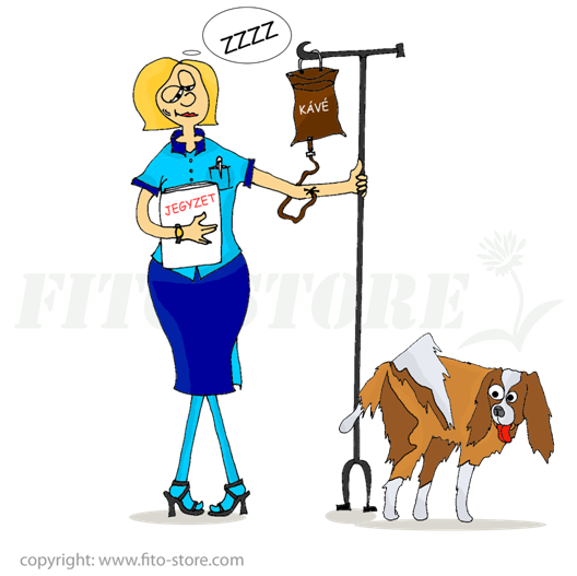 Az alacsony vényomás kutyáknál is előfordulhat - bár ritkábban mint az embereknél Az alacsony vényomás kutyáknál is előfordulhat - bár ritkábban mint az embereknél