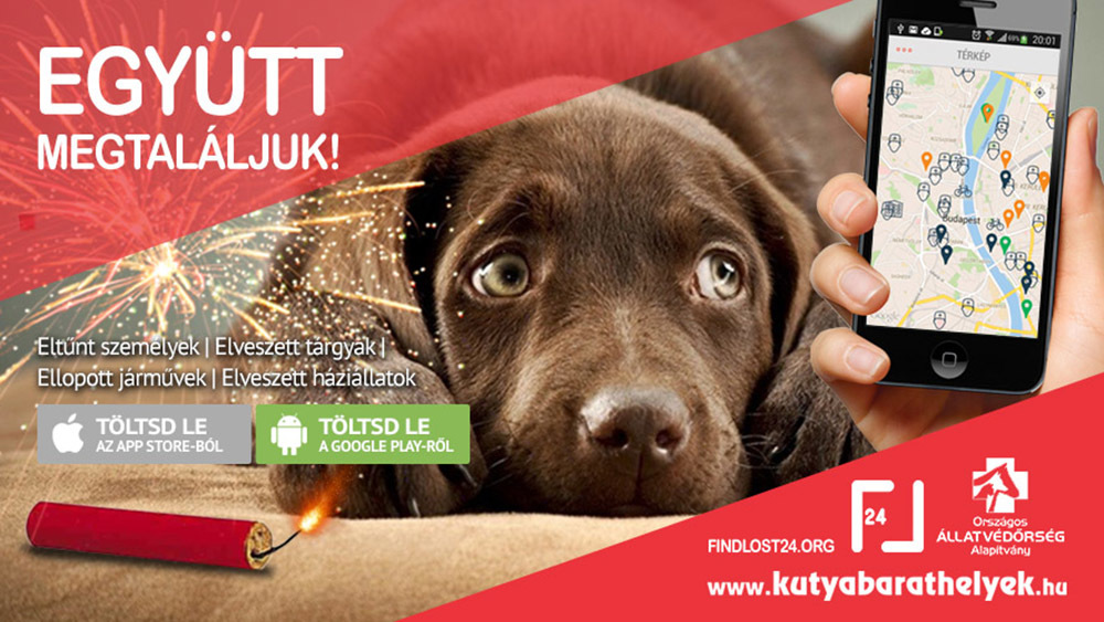Findlost24 - Segíts megtalálni az elveszett kutyusokat!