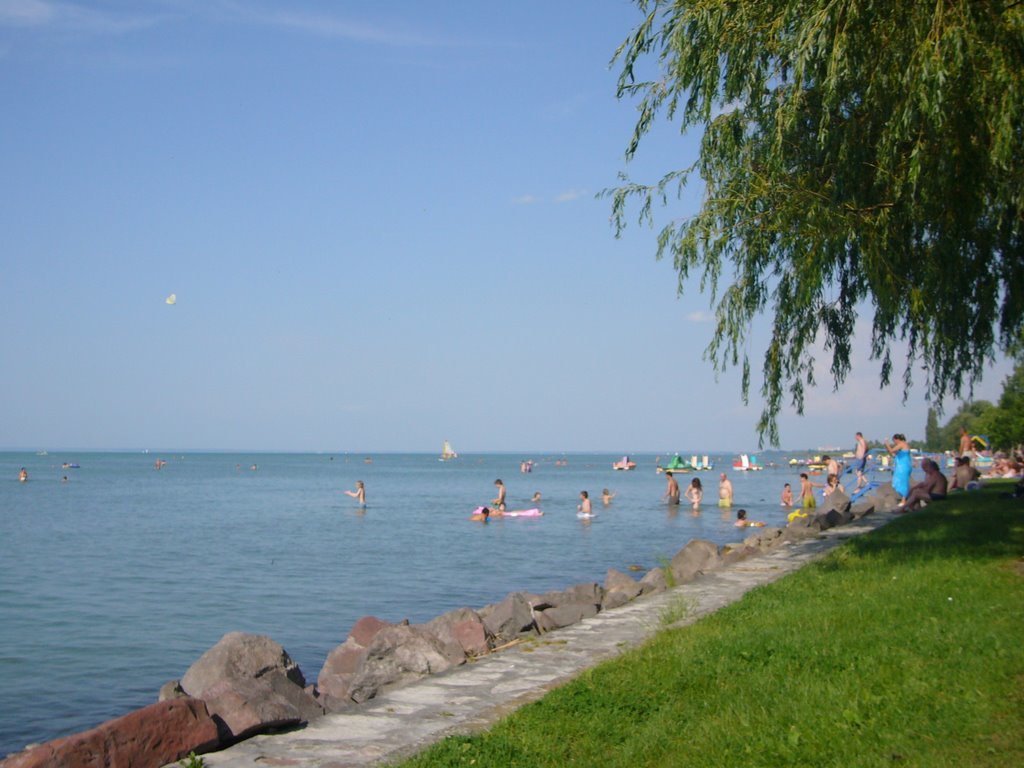 Hamarosan Zamárdiban is kutyabarát strand nyílik