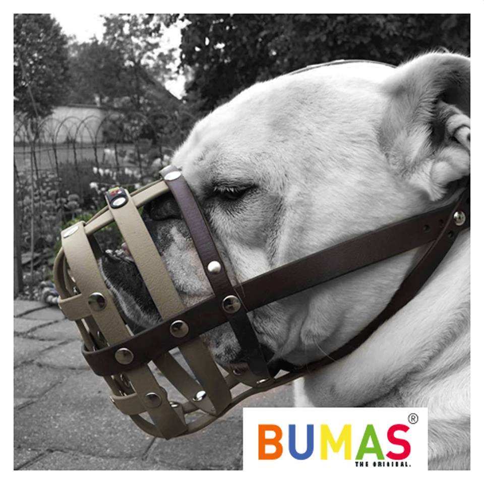 Szájkosár bulldogra is