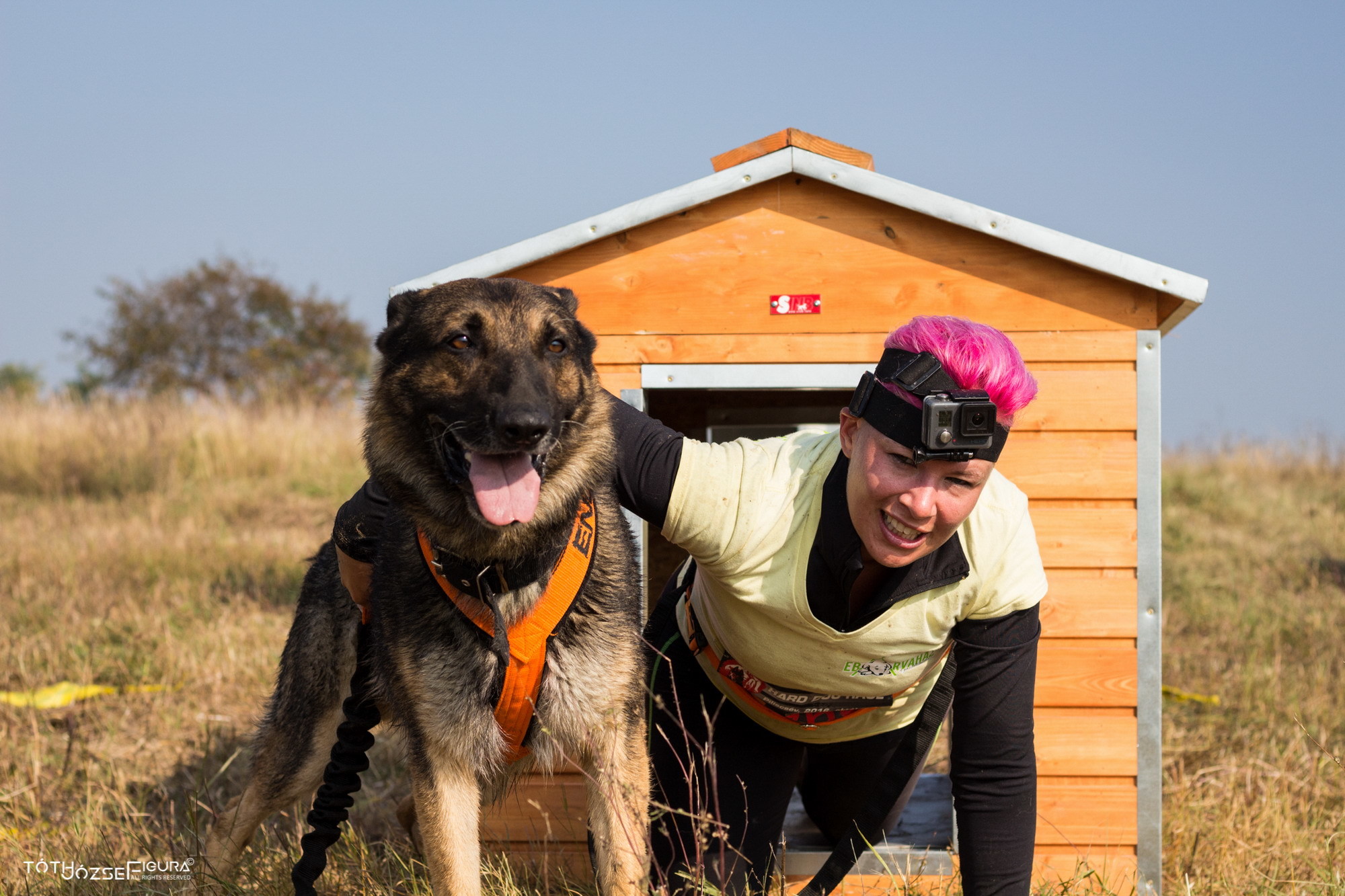 Kutyával a kutyaházban - ez is egy akadály volt a versenyen!