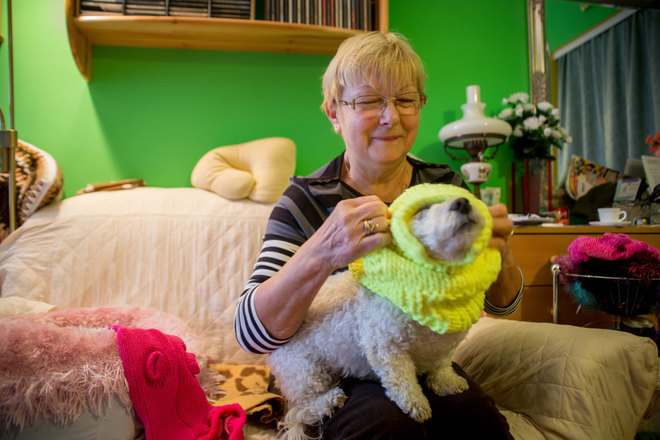 Saját kutyusa a modell