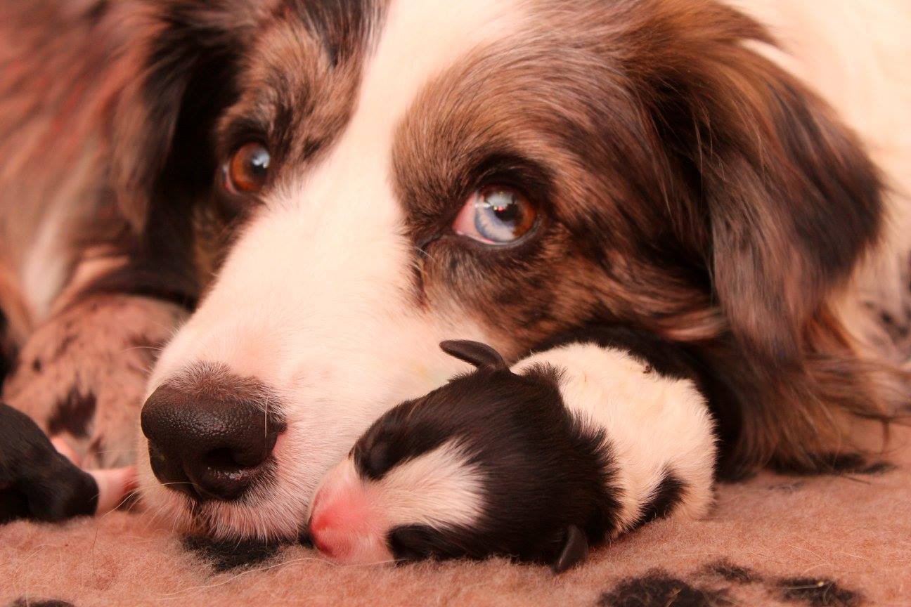 Az anyuka külleme is igazán különleges 