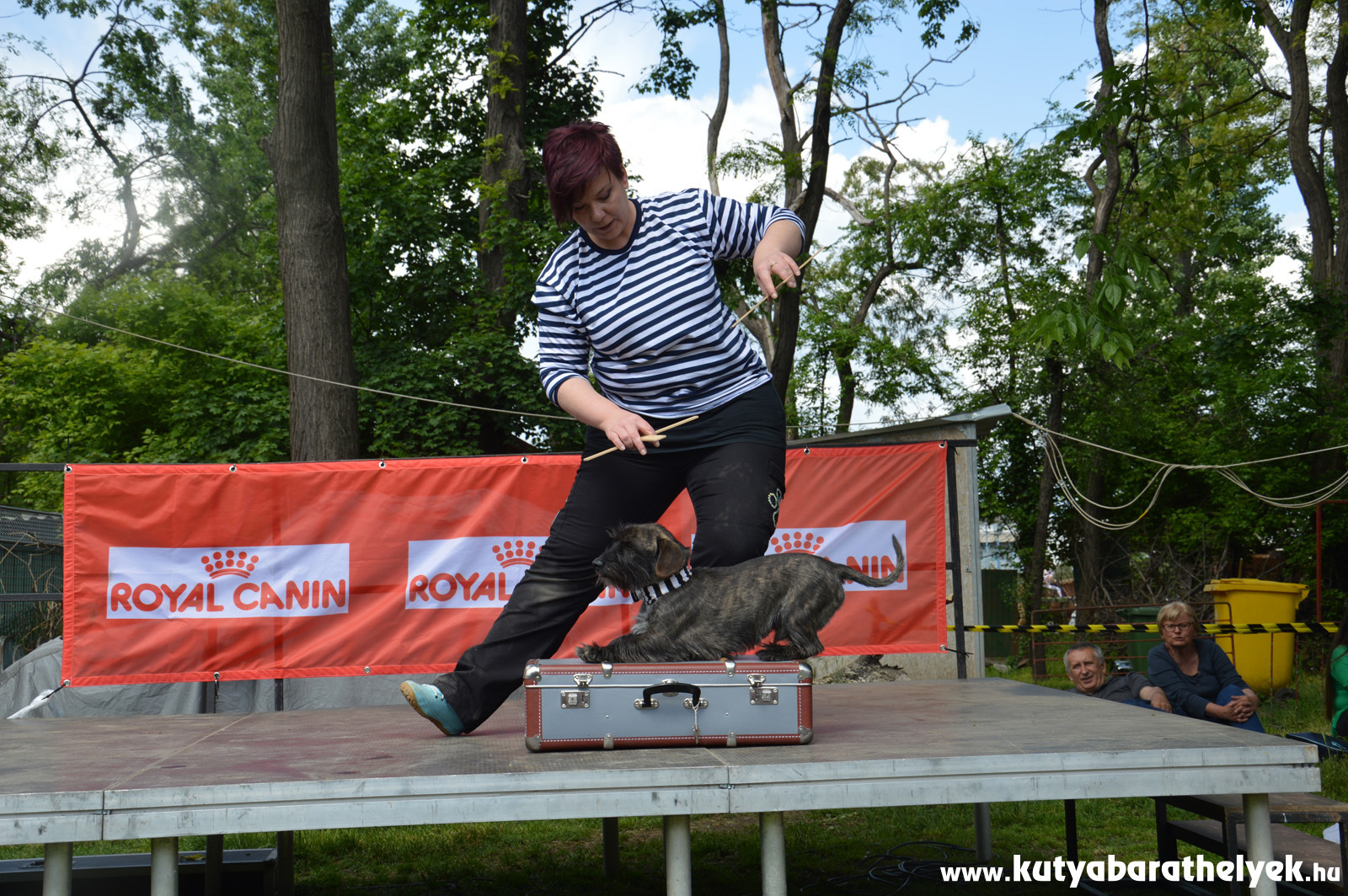 Tacskós trükkbemutató