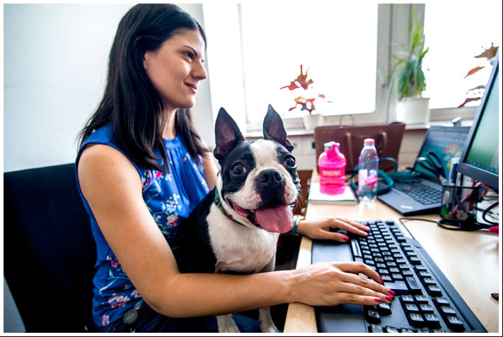 A kedvencek a kreativitásra is pozitívan hatnak