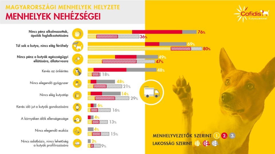 A magyar menhelyek nehézségei