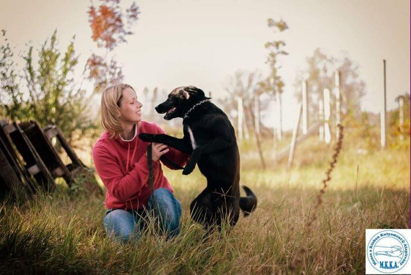 Bíró Brigitta állatmentő