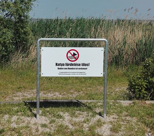 A kutyák fürdetését tiltó tábla a Fertő-tavon
