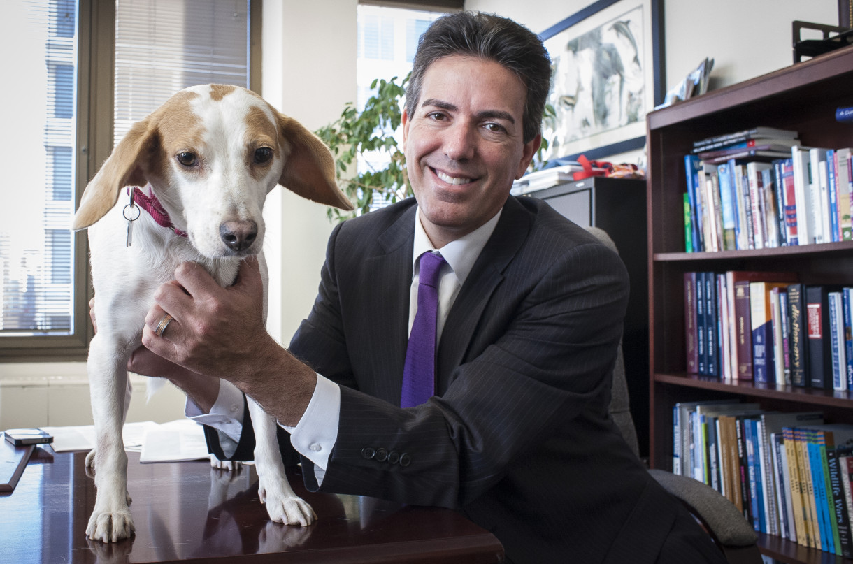 Embernek is, kutyának is jó