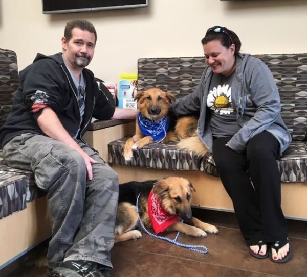 A két kutya új családja körében