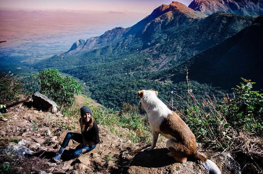 Új gazdáival semmi nem állhat az útjukba Új gazdáival semmi nem állhat az útjukba