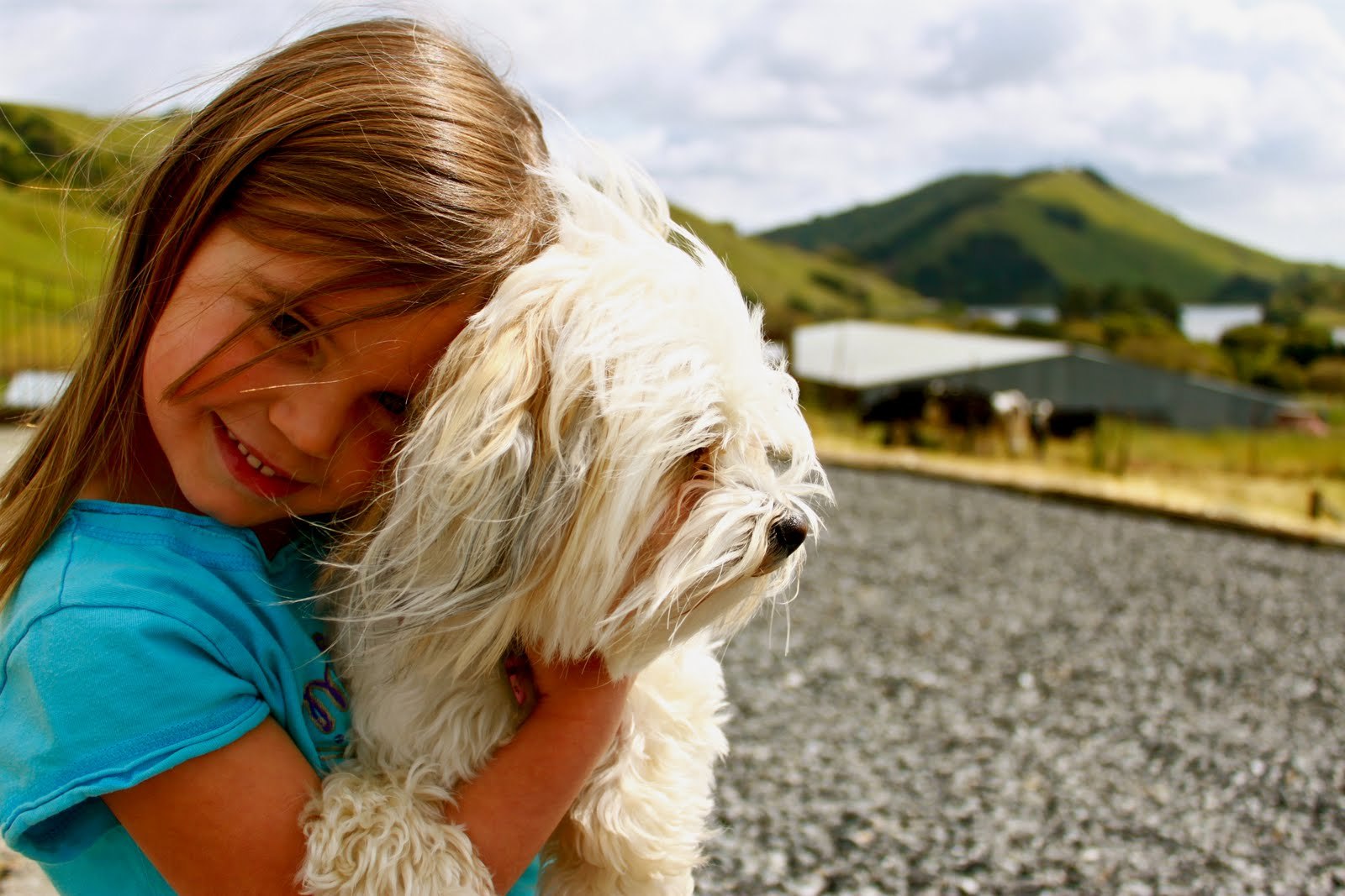 Egy jó kutya szinte mindent megenged a gyerekeknek