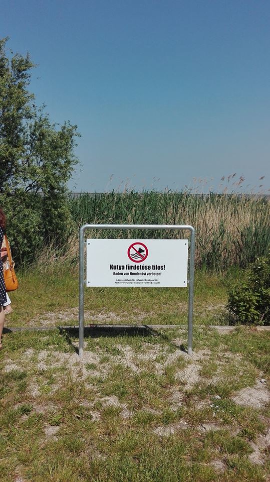 Tiltó tábla jelzi, itt már nem fürödhetnek kutyák
