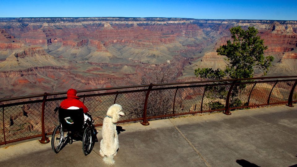 Miss Norma és Ringo a Grand Canyon egyik magaslatán