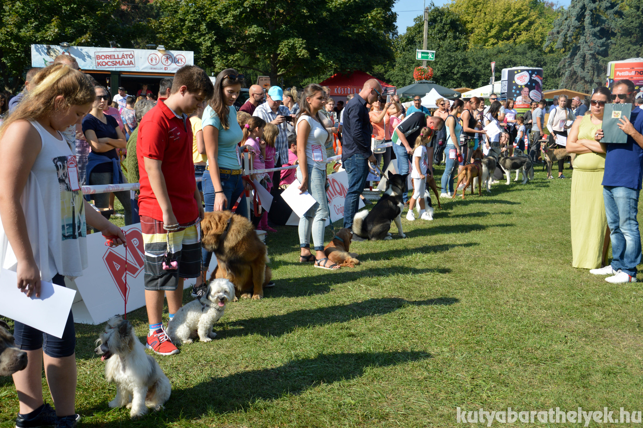 Idén is nagy sikere volt a kutyaszépségversenynek