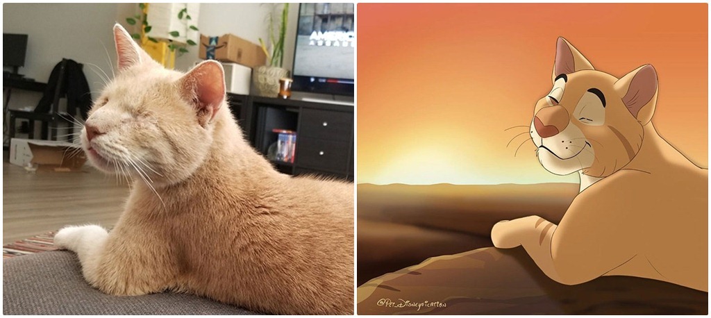 Pet Disneyfication 10