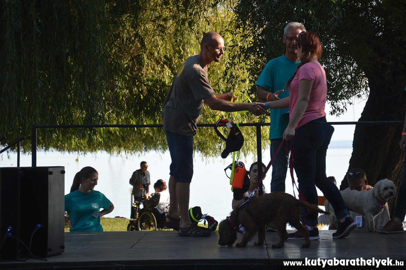 Sebő Gyula és Stefan Siman - díjáató