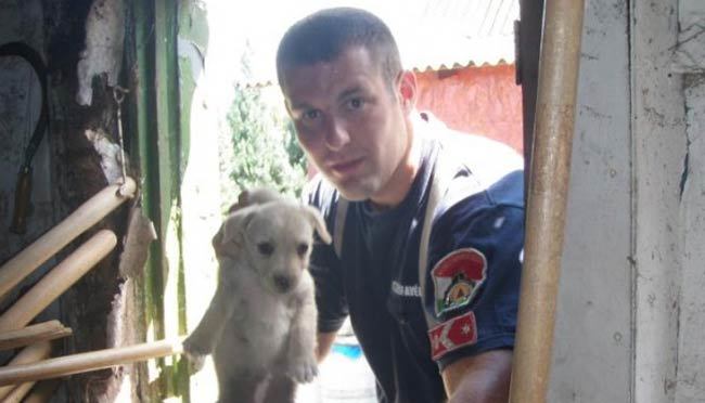 Kiskutyát mentett a tűzoltó