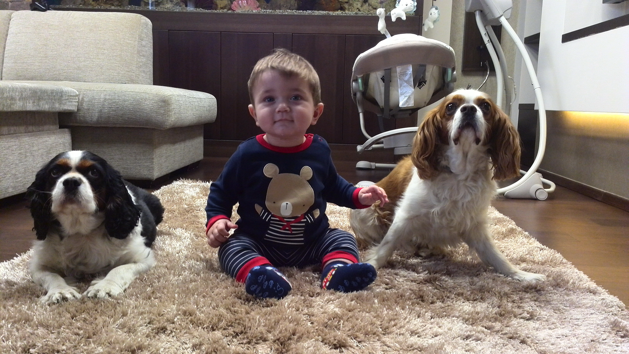 Kisgyermekes családoknál elengedhetetlen az alapengedelmesség. A gyereket is fel lehet építeni vezetőként a kutyusok előtt.